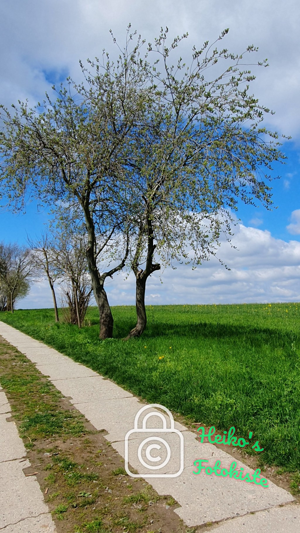 Schönfelder Hochland
