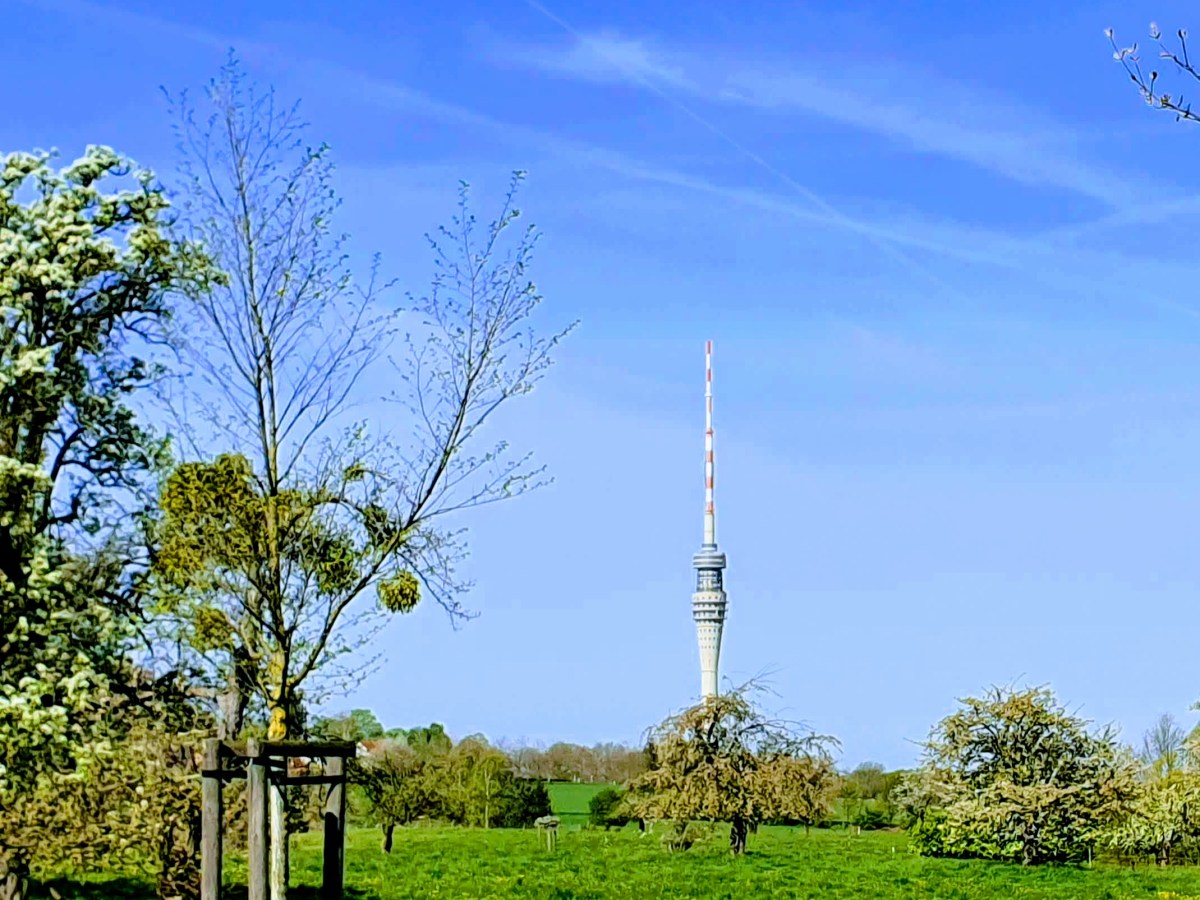 Der Dresdner Fernsehturm