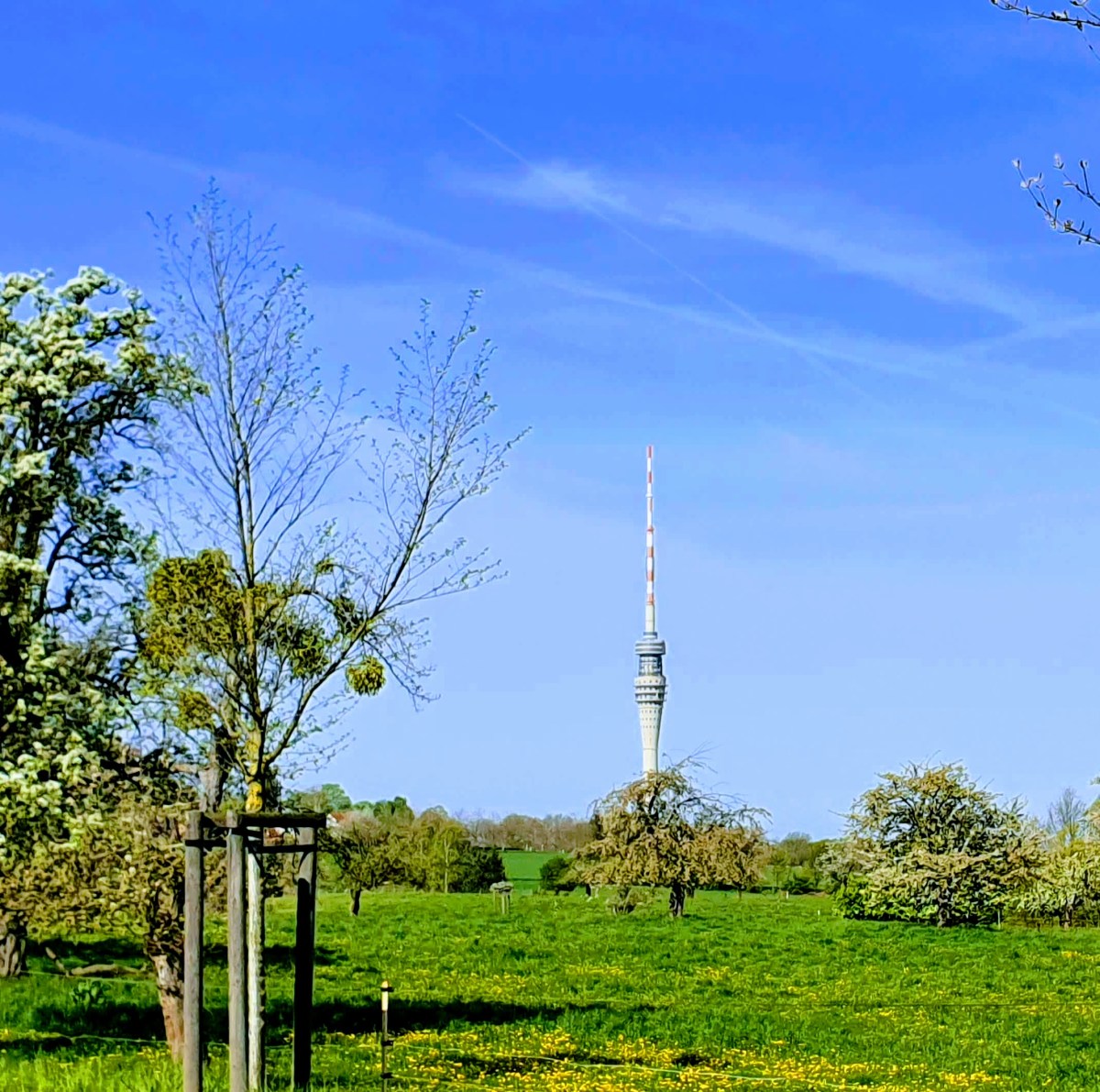 Der Dresdner Fernsehturm